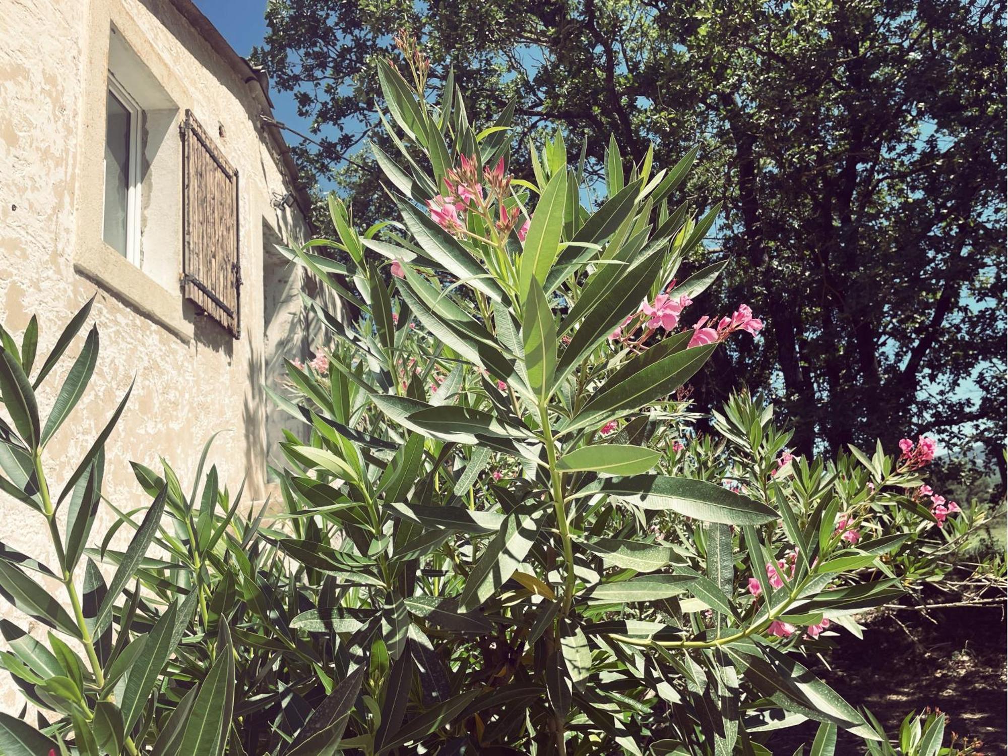 Appartement A La Campagne LʼIsle-sur-la-Sorgue Exterior foto